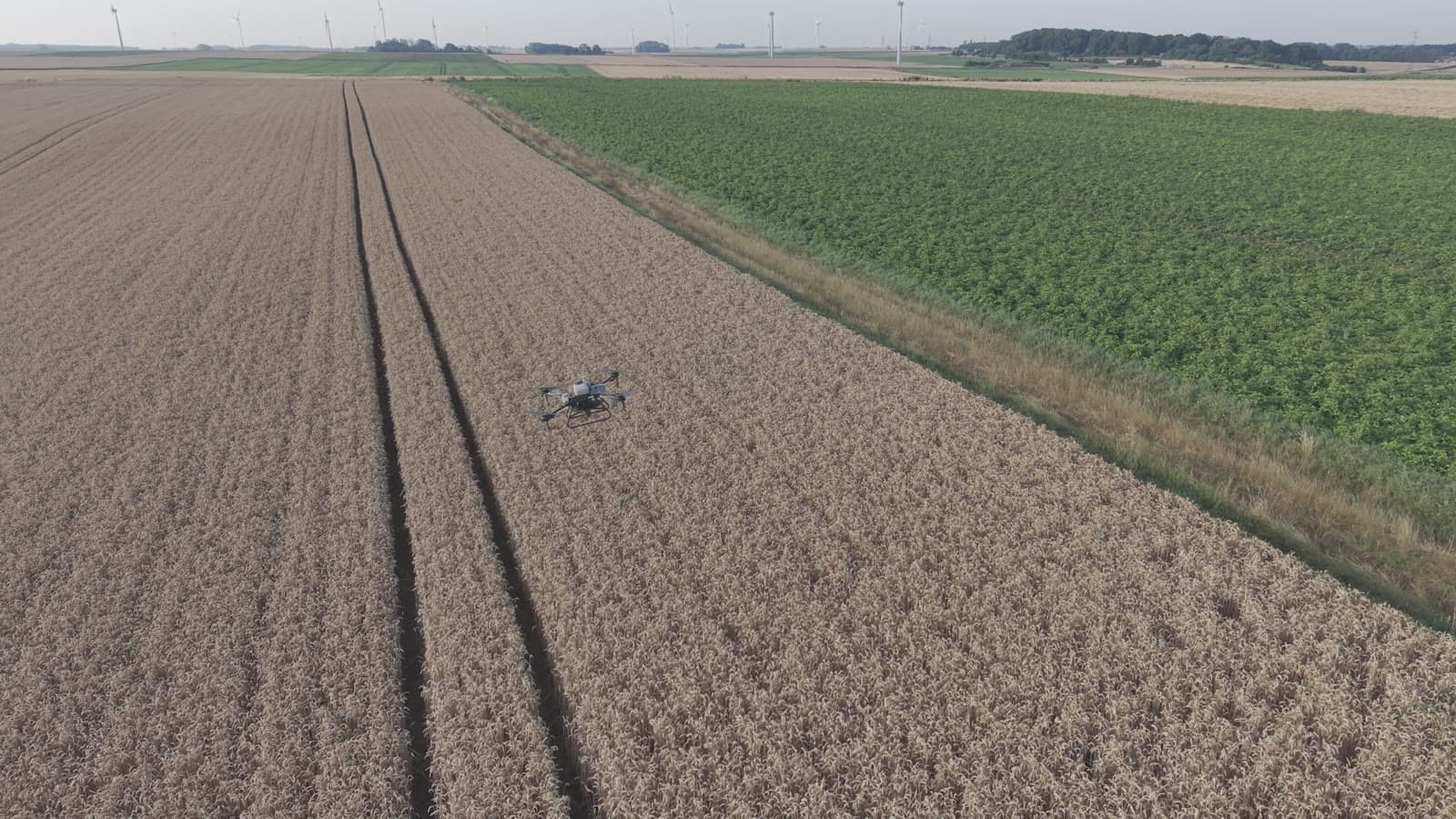Drone agricole survolant une parcelle lors d’un semis, vue aérienne